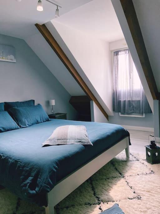 Tres Joli Equipe Au Calme Apartment